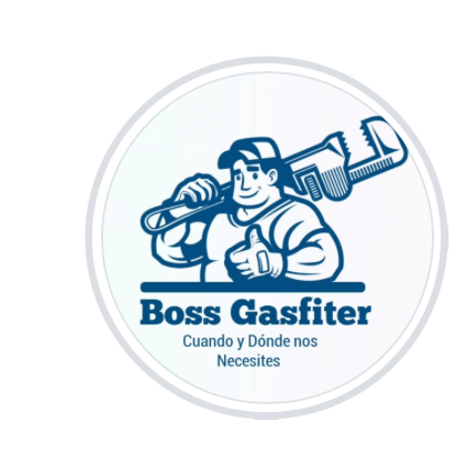 Logo de Boss Gasfiter